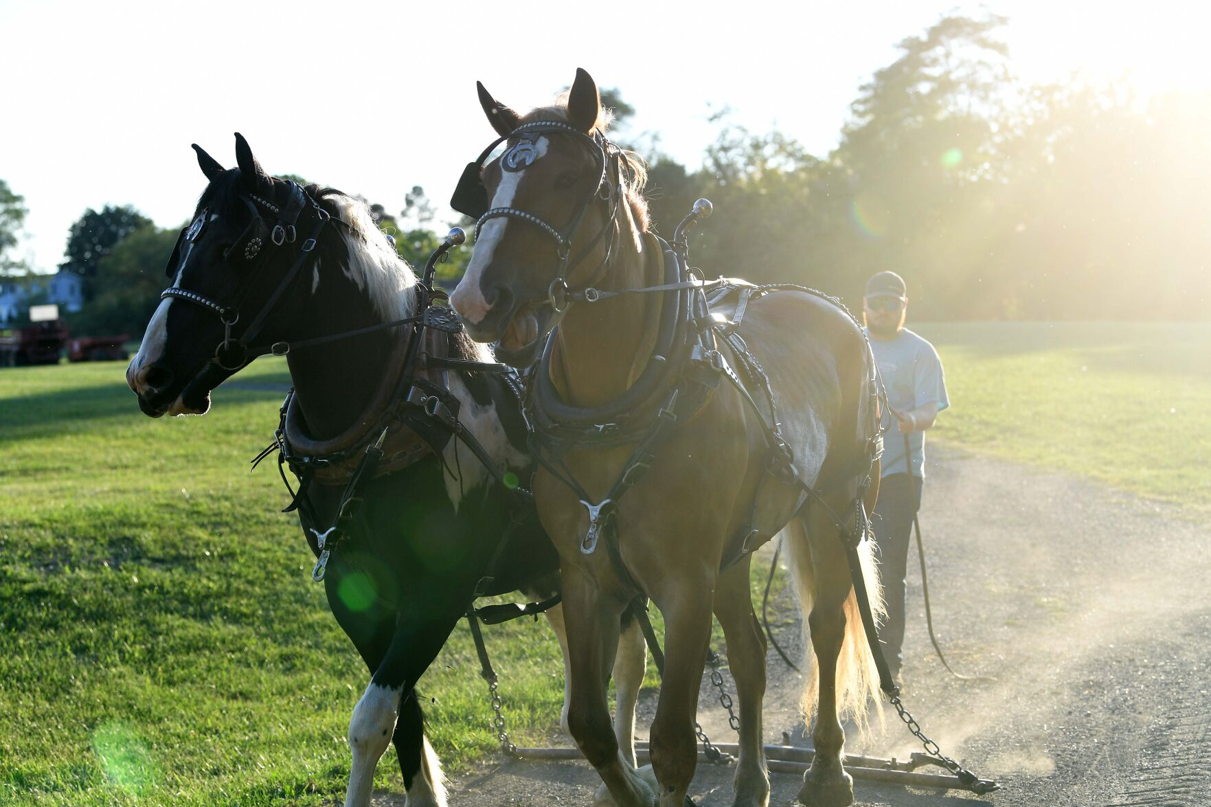 Tirage au sort de chevaux de trait Ag Expo 1.JPG